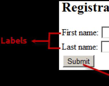 PHP skripty pro zpracování HTML formulářů Obrovský registrační formulář php